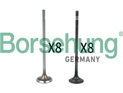 Borsehung B18631