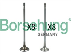 Borsehung B18632