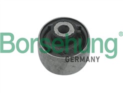 Borsehung B18718