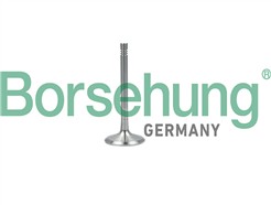 Borsehung B19001