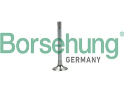 Borsehung B19003