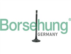Borsehung B19006