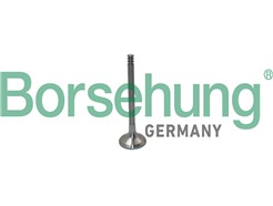 Borsehung B19012