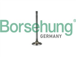 Borsehung B19022