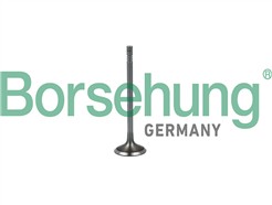 Borsehung B19023