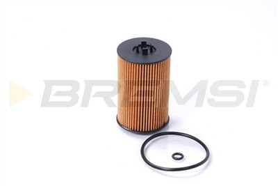 BREMSI FL0021 Číslo výrobce: SL0021. EAN: 8050141093081.