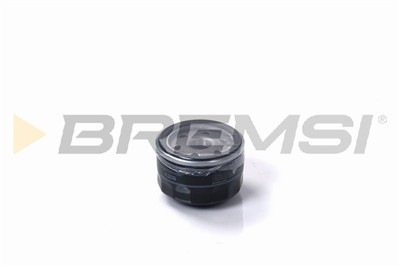 BREMSI FL0310 Číslo výrobce: SL0310. EAN: 8050141093913.