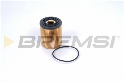 BREMSI FL0694 Číslo výrobce: SL0694. EAN: 8050141094132.