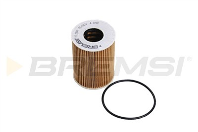 BREMSI FL2543 Číslo výrobce: SL2543. EAN: 8050141339561.