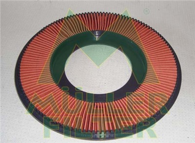 MULLER FILTER PA124 EAN: 8033977801242.