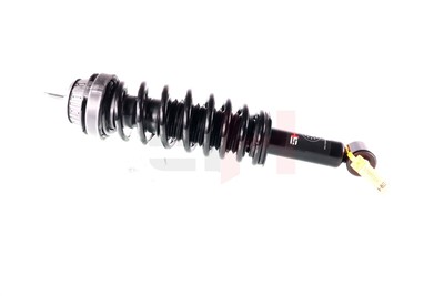 GH GH-331060C01 EAN: 4251530878911.