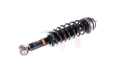 GH GH-331060C01 EAN: 4251530878911.