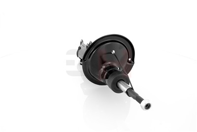 GH GH-354811 EAN: 4251530813455.