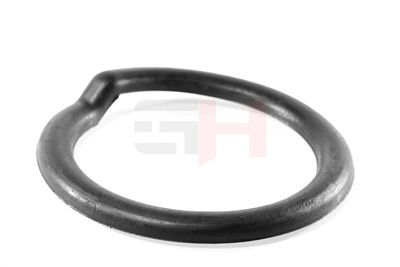 GH GH-622290 EAN: 4251530887647.