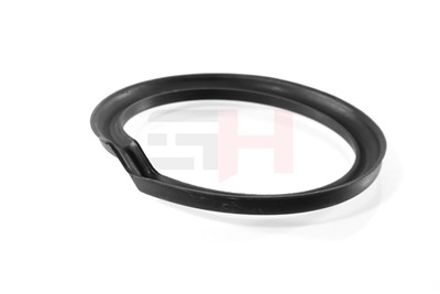 GH GH-622298 EAN: 4251530887678.