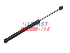 FAST FT00187