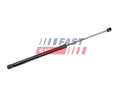 FAST FT00197