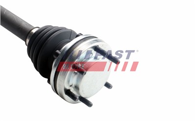 FAST FT01484