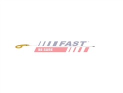 FAST FT01555