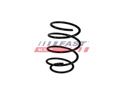 FAST FT01873