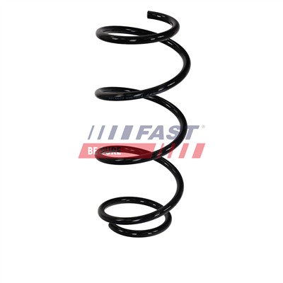 FAST FT01965