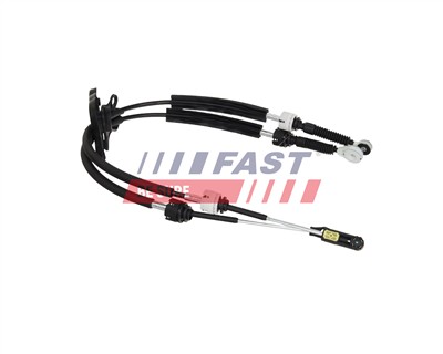 FAST FT02953