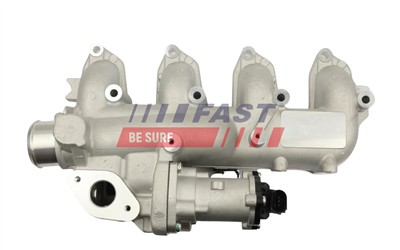 FAST FT10060 EAN: 5904157816550.