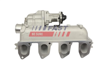 FAST FT10060 EAN: 5904157816550.