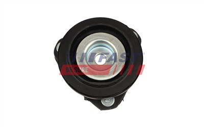 FAST FT10088 EAN: 5904157817281.