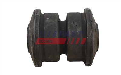 FAST FT10091 EAN: 5904157817311.