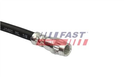 FAST FT10096 EAN: 5904157817595.