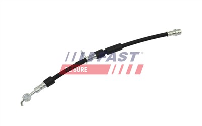 FAST FT10100 EAN: 5904157817670.