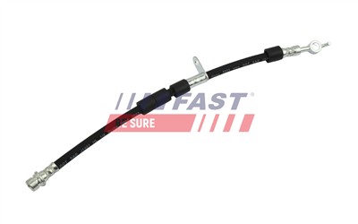 FAST FT10100 EAN: 5904157817670.