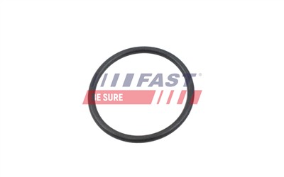 FAST FT10368 EAN: 5904157826917.