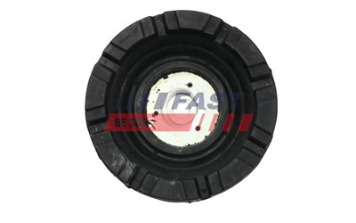 FAST FT12036 EAN: 5904157810824.