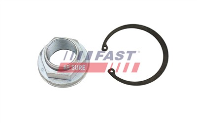 FAST FT26031 EAN: 5901797065621.