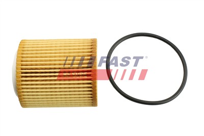 FAST FT38100 EAN: 5901797090388.