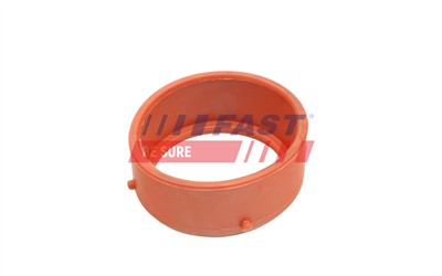 FAST FT48813 EAN: 5904157895838.