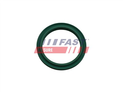 FAST FT48933 EAN: 5904157814570.