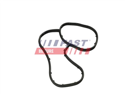 FAST FT48941 EAN: 5904157879609.