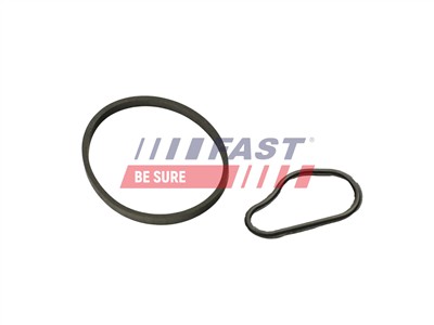 FAST FT48943 EAN: 5904157846014.