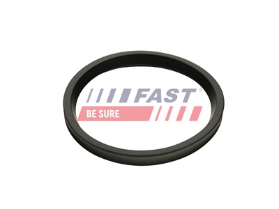 FAST FT48947 EAN: 5904157890864.