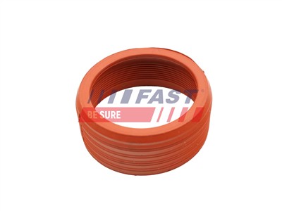 FAST FT48948 EAN: 5904157849107.