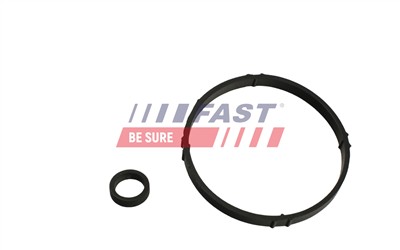 FAST FT48952 EAN: 5904157880872.