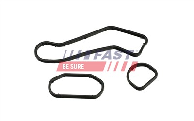 FAST FT48960 Číslo výrobce: 5904157828485. EAN: 5904157828485.