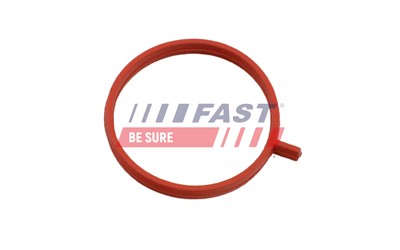 FAST FT48963 EAN: 5904157848636.