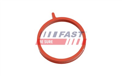 FAST FT48964 EAN: 5904157837777.