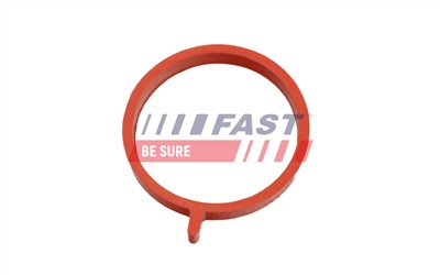 FAST FT48964 EAN: 5904157837777.