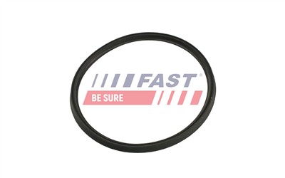 FAST FT48965 EAN: 5904157886607.