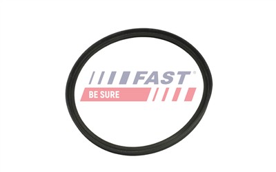 FAST FT48965 EAN: 5904157886607.